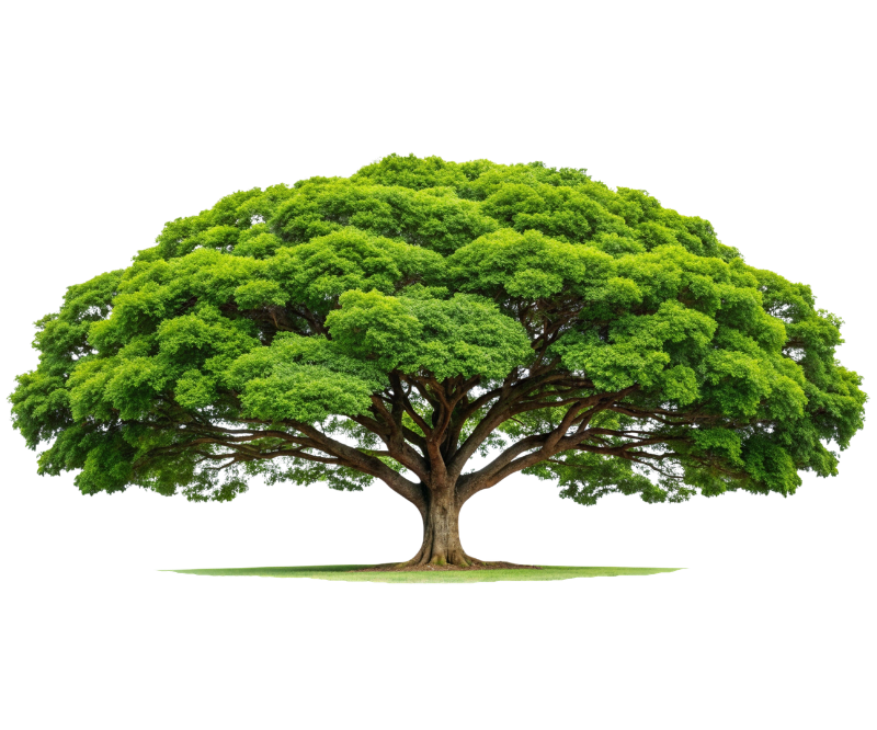 Power and Scale channel engagement image 2