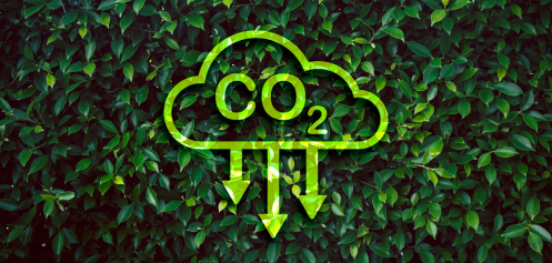 Almond Solution - News