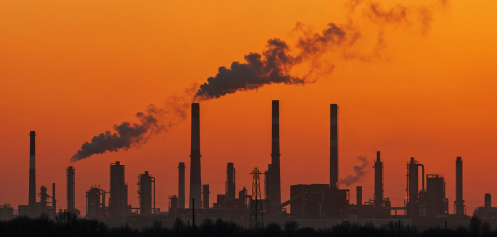 Almond Solution - News